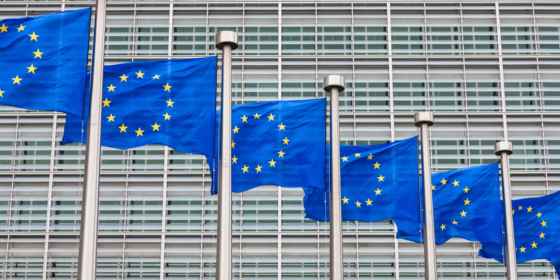 European Union Flags
